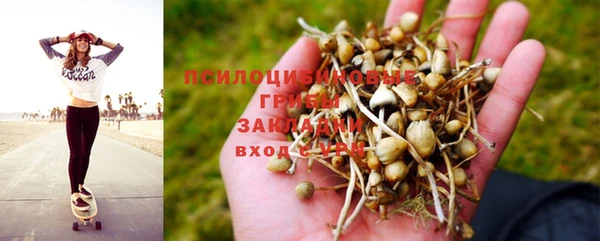 МДМА Новодвинск